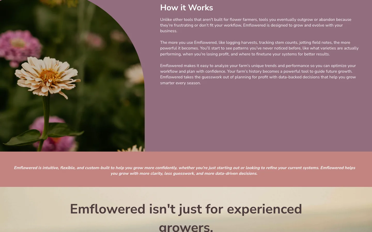 Emflowered — The domain was the whole problem